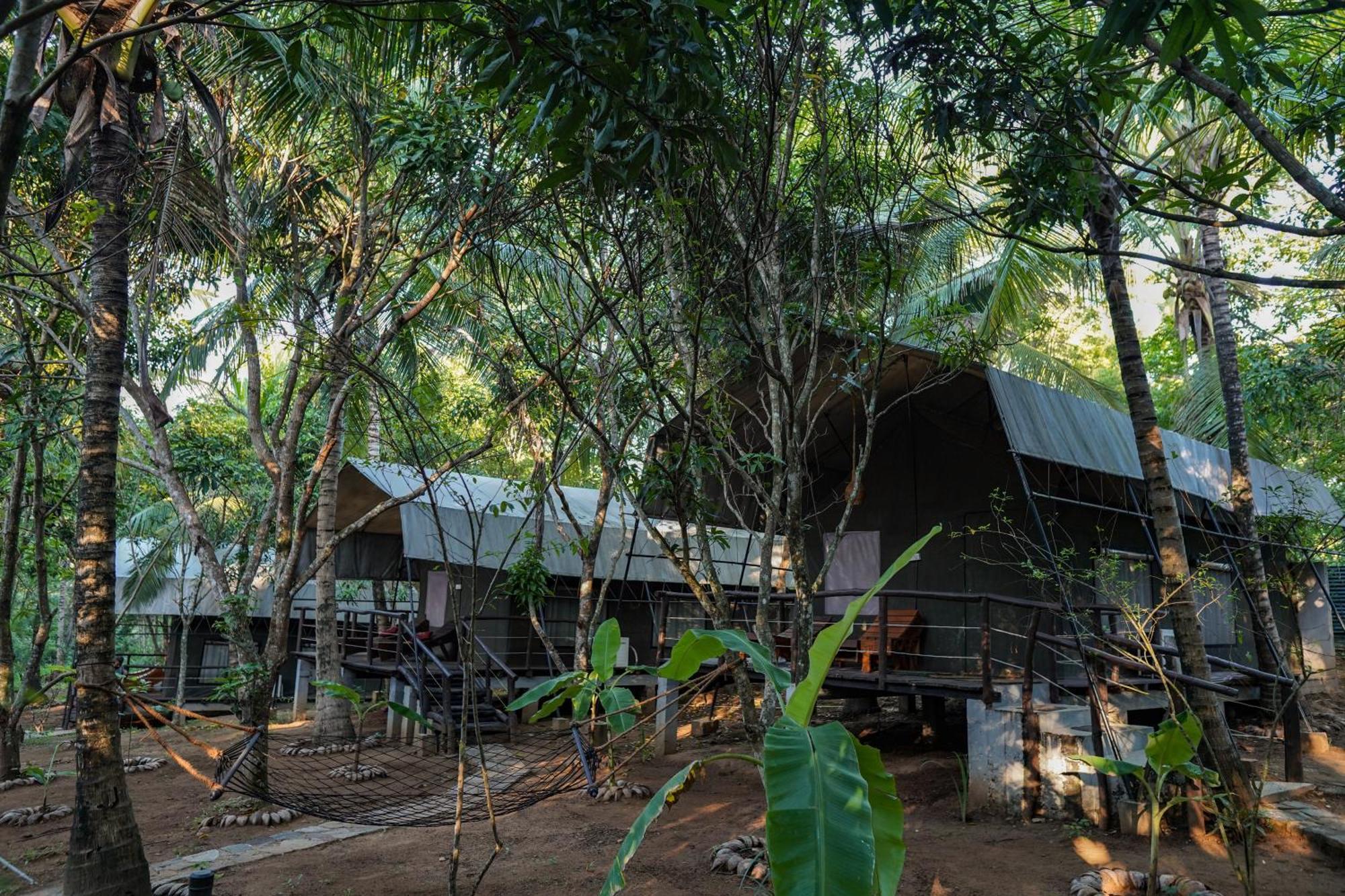 River Glamping By Gaga Bees Udawalawe Exterior foto