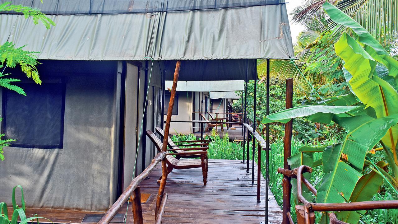 River Glamping By Gaga Bees Udawalawe Exterior foto