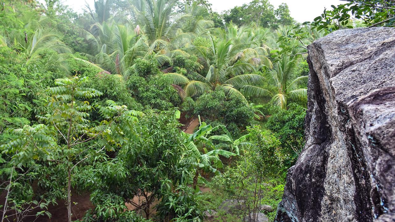 River Glamping By Gaga Bees Udawalawe Exterior foto